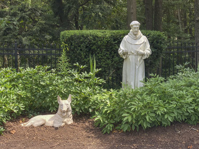 St. Francis and the wolf