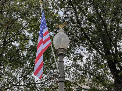 Bald eagle, not a pigeon, tops the light