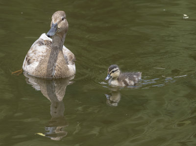 Mother and baby