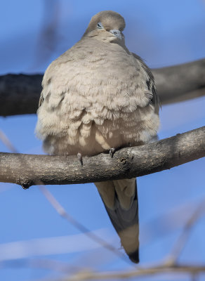 Getting some almost shut-eye