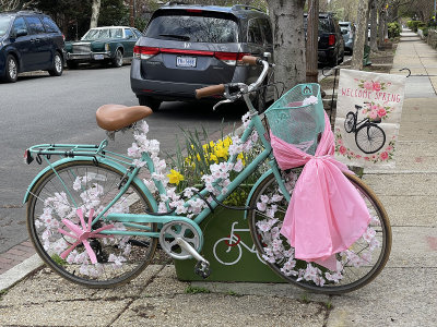 Cherry blossom bike
