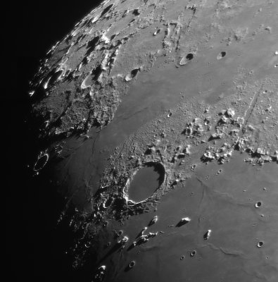 Northern mosaic 22nd March 2021