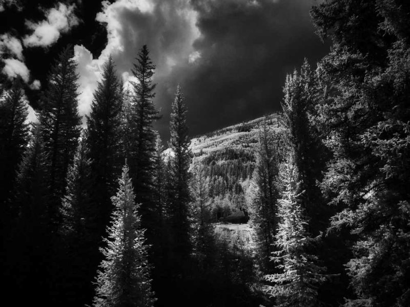 COLORADO