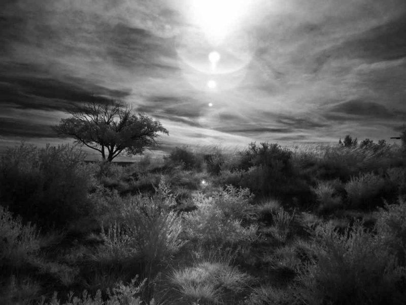 NEW MEXICO