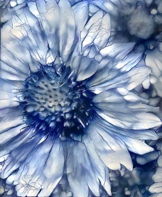 Featured Gallery