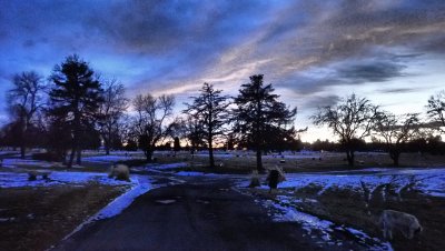 January 2