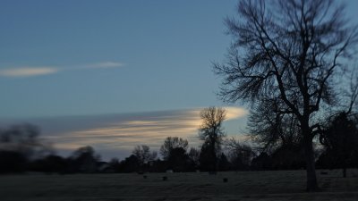 February 7