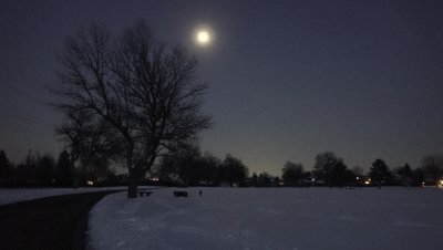 February 25