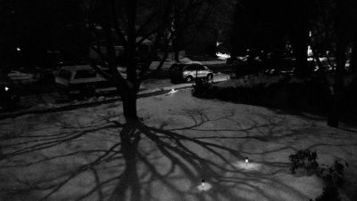 February 26