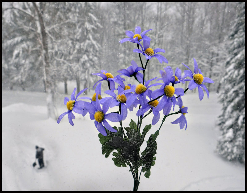A snowmana & flowers.jpg