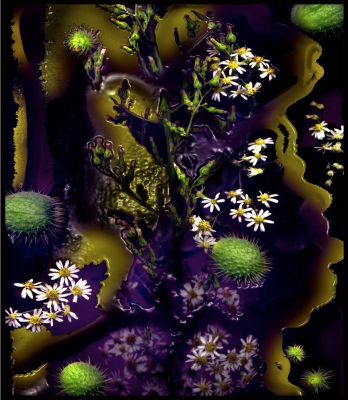 Scanned wild flowers