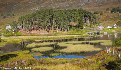 Glen Affric 03_DSC5478.jpg