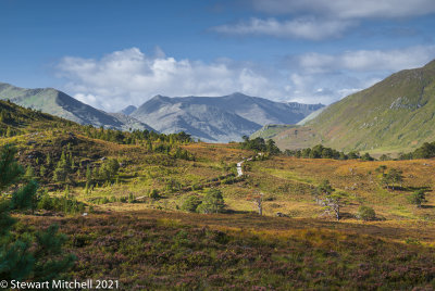 Glen Affric_DSC5488.jpg