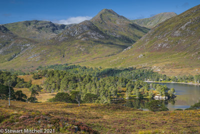 Glen Affric_DSC5491.jpg