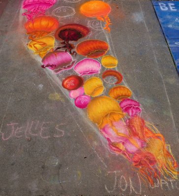 Jellies, in progress