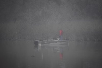 Fishing in the fog