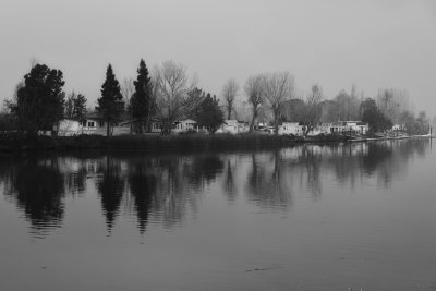 Along the slough