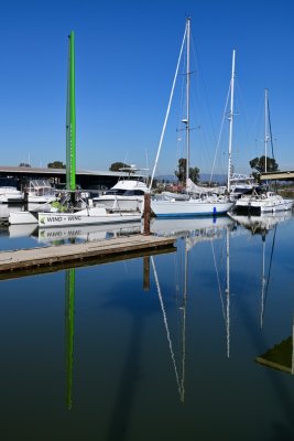 Along the Napa River