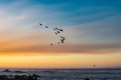 Monterey Bay through the years