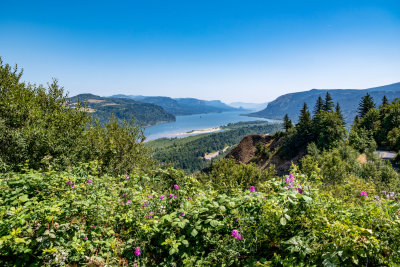The Columbia River Gorge from Crown Point
