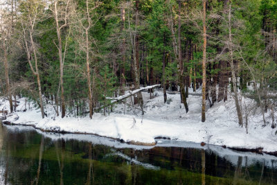 The Merced River bank near Sentinel Bridge
