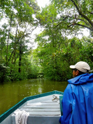 Cruising a waterway in the rainforest