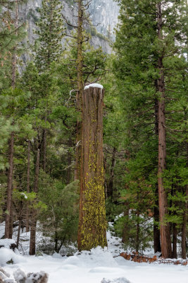 Yosemite, January 2022