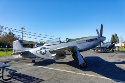 A P-51 Mustang on the tarmac at Sonoma