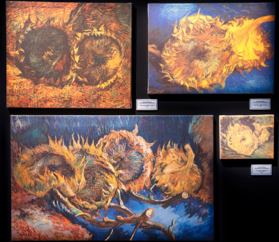 Some of the Sunflower series