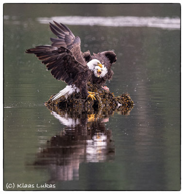 Vancouver Island 2019