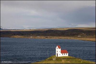 _AN11317.jpg
