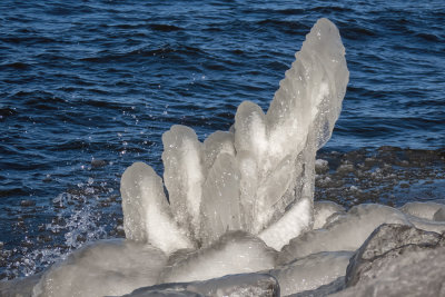 Ice Sculptures  (2 photos)