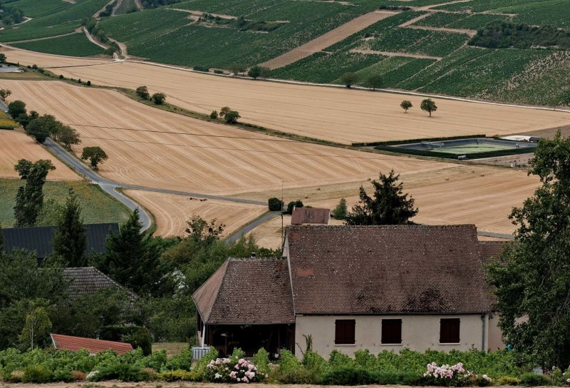 Sancerre area. 