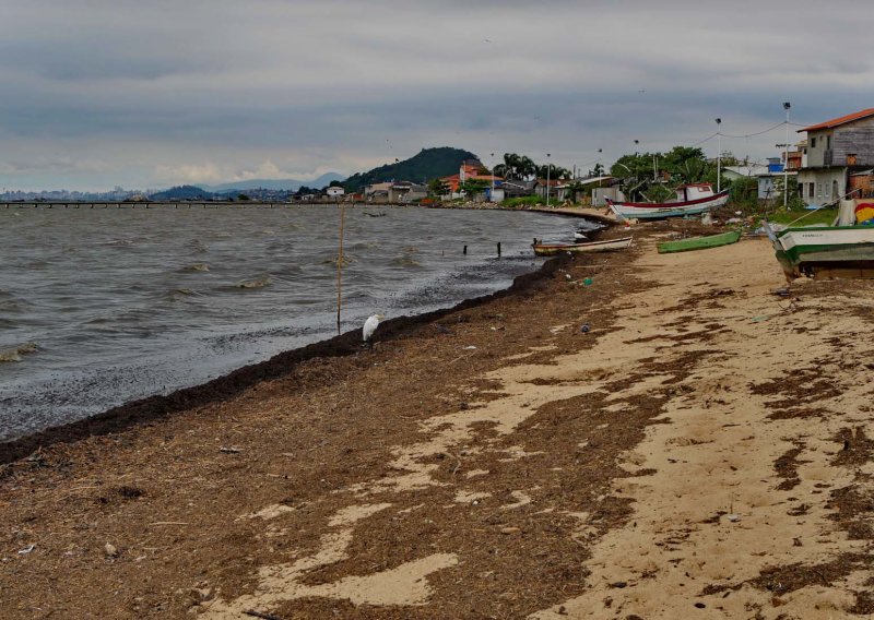Biguaçu: São Miguel Church, Museum and Biguaçu River (2019)