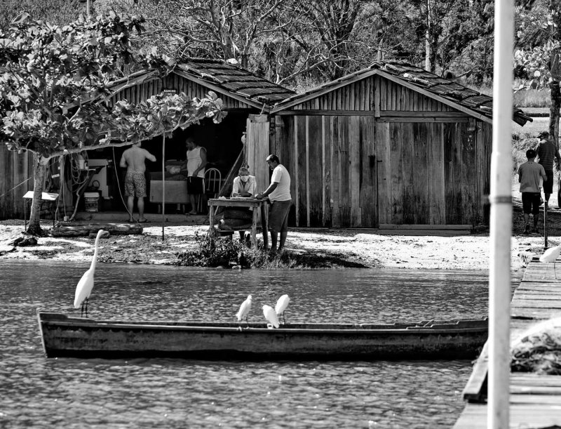 Praia da Costeira do Pirajuba; pier, boats, birds and fishers. 