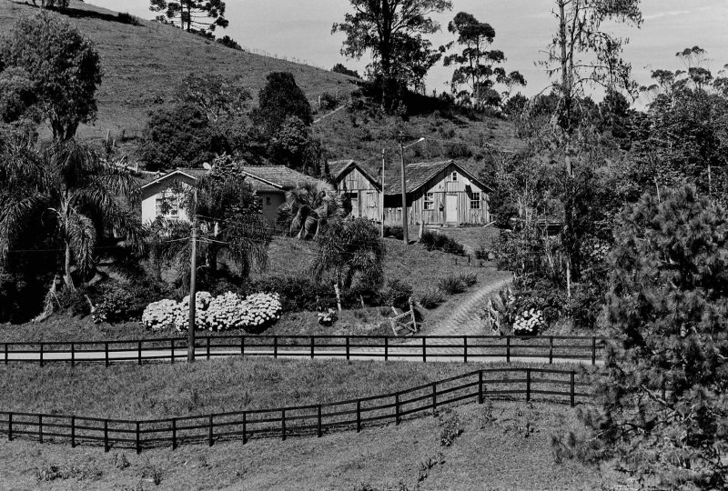Using BW Kodak Tmax100 with Olympus OM2n (Jan 2022)