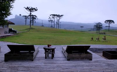 g12/39/1151039/3/168847524.BXzuXAlM.jpg