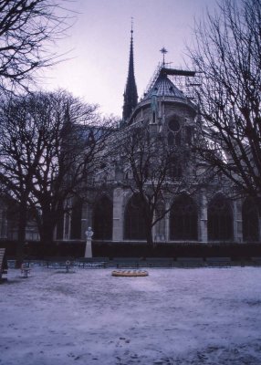 Notre Dame; the backyard.  