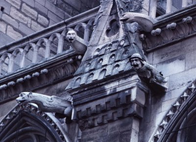 Notre Dame; north side. See a bishop face among the gargoyles. 