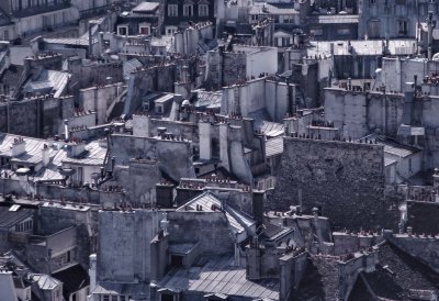 Paris' roofs (Quartier Latin side), seen from the top of Notre Dame towers. 