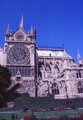 Notre Dame, la Nef. 