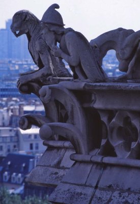 Les gargoyles. 