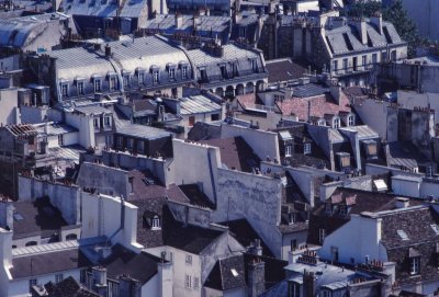 Paris' roofs, viewed from Notre Dame tours. 
