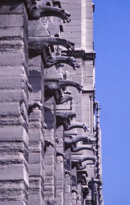 Lateral south side and the gargoyles. 
