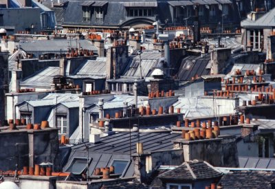 Paris' roofs viewed from above are a particular attraction.  