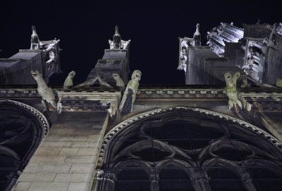 Recent picture; the gargoyles. 