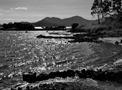 Ponta do Coral - a Particular Place of Florianopolis (2019 and 2020)