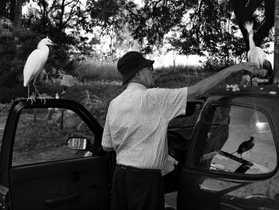 Sr. Albino feeding 'his' birds.