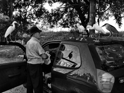 For many years Sr. Albino comes to Ponta do Coral for taking care of the birds. 