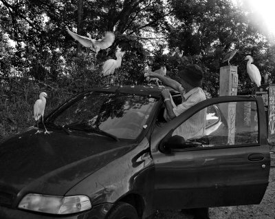 Every morning Sr. Albino arrives at Ponta do Coral for feeding birds.